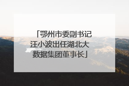 鄂州市委副书记汪小波出任湖北大数据集团董事长