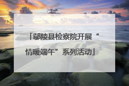 鄢陵县检察院开展“情暖端午”系列活动