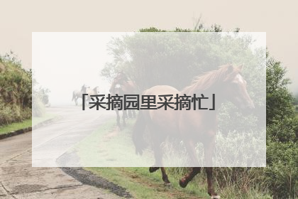 采摘园里采摘忙