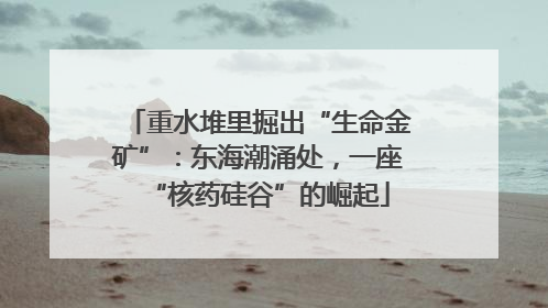 重水堆里掘出“生命金矿”：东海潮涌处，一座“核药硅谷”的崛起