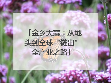 金乡大蒜：从地头到全球“链出”全产业之路