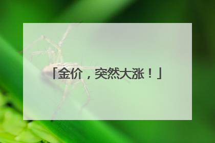金价，突然大涨！