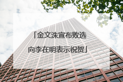 金文洙宣布败选 向李在明表示祝贺