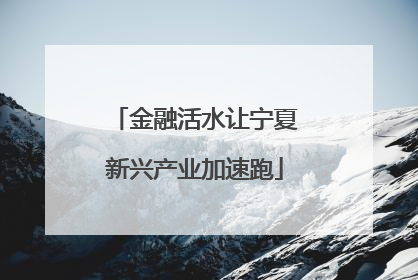 金融活水让宁夏新兴产业加速跑