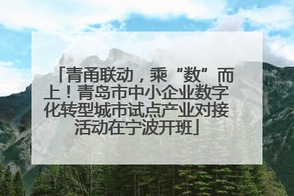 青甬联动，乘“数”而上！青岛市中小企业数字化转型城市试点产业对接活动在宁波开班