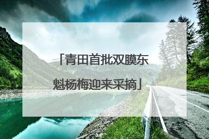 青田首批双膜东魁杨梅迎来采摘