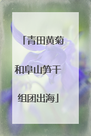 青田黄菊和阜山笋干组团出海