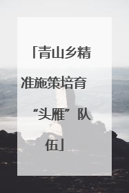 青山乡精准施策培育“头雁”队伍
