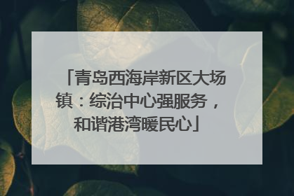 青岛西海岸新区大场镇：综治中心强服务，和谐港湾暖民心