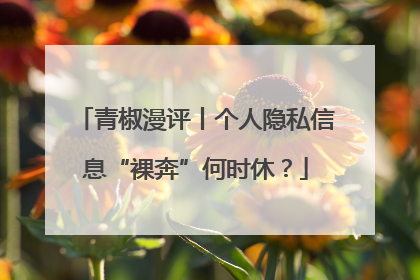 青椒漫评丨个人隐私信息“裸奔”何时休？