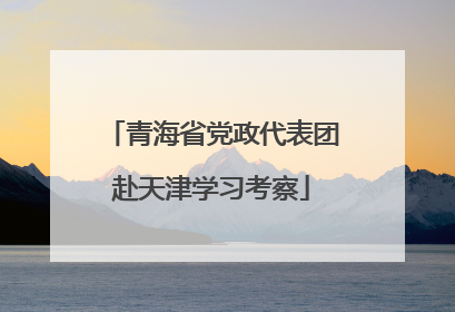 青海省党政代表团赴天津学习考察