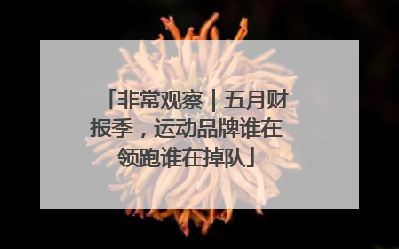 非常观察｜五月财报季，运动品牌谁在领跑谁在掉队