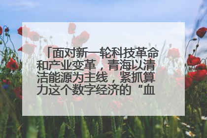 面对新一轮科技革命和产业变革，青海以清洁能源为主线，紧抓算力这个数字经济的“血液”、科技主权的“筹码”、产业升级的“杠杆”、绿色转型的“支点”，勇于撬动国家“双碳”战略、“东数西算”工程重大发展新机遇