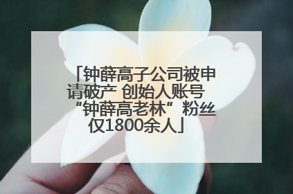钟薛高子公司被申请破产 创始人账号“钟薛高老林”粉丝仅1800余人