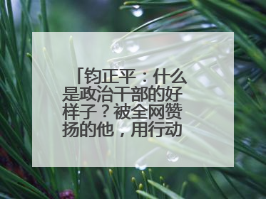 钧正平：什么是政治干部的好样子？被全网赞扬的他，用行动作出了回答