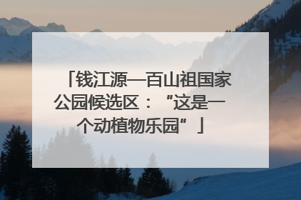 钱江源—百山祖国家公园候选区：“这是一个动植物乐园”