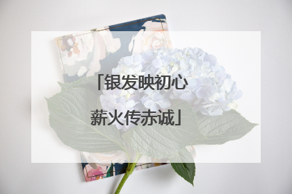 银发映初心 薪火传赤诚
