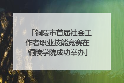铜陵市首届社会工作者职业技能竞赛在铜陵学院成功举办