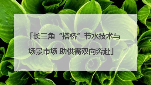 长三角“搭桥”节水技术与场景市场 助供需双向奔赴