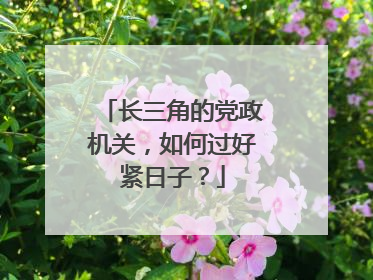 长三角的党政机关，如何过好紧日子？