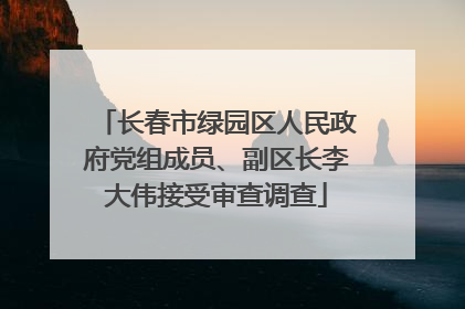 长春市绿园区人民政府党组成员、副区长李大伟接受审查调查