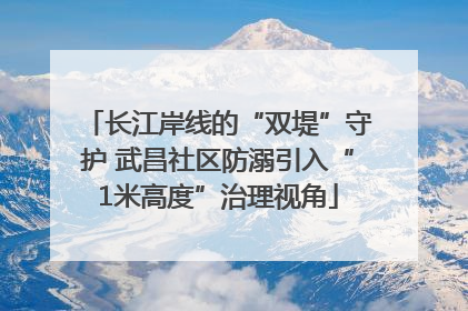 长江岸线的“双堤”守护 武昌社区防溺引入“1米高度”治理视角