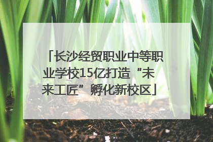 长沙经贸职业中等职业学校15亿打造“未来工匠”孵化新校区