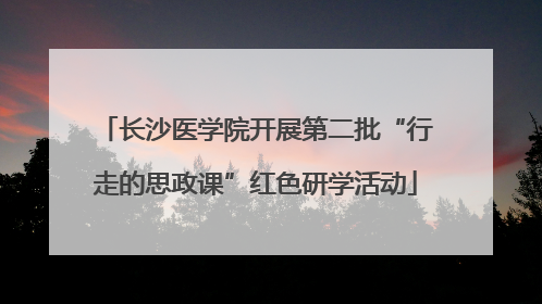 长沙医学院开展第二批“行走的思政课”红色研学活动