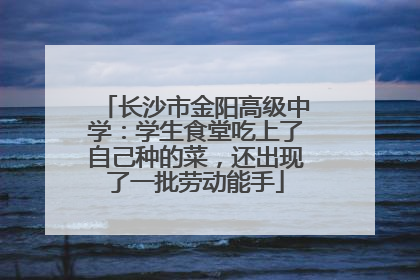 长沙市金阳高级中学：学生食堂吃上了自己种的菜，还出现了一批劳动能手