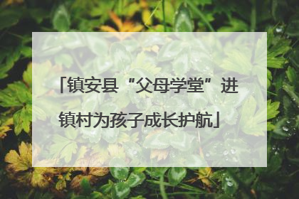 镇安县“父母学堂”进镇村为孩子成长护航