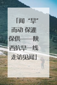 闻“旱”而动 保灌保供——陕西抗旱一线走访见闻
