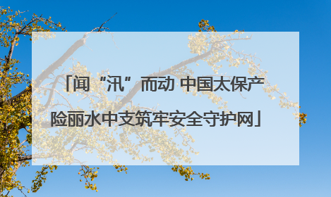 闻“汛”而动 中国太保产险丽水中支筑牢安全守护网