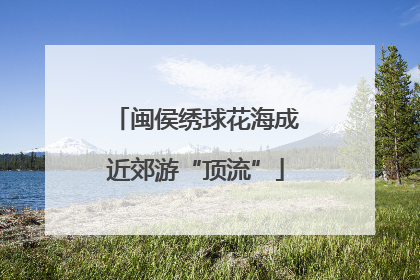 闽侯绣球花海成近郊游“顶流”