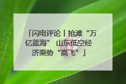 闪电评论丨抢滩“万亿蓝海” 山东低空经济乘势“高飞”