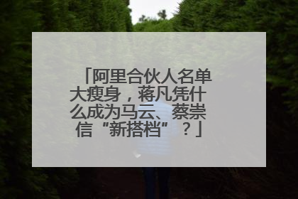 阿里合伙人名单大瘦身，蒋凡凭什么成为马云、蔡崇信“新搭档”？