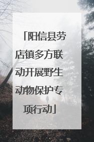 阳信县劳店镇多方联动开展野生动物保护专项行动