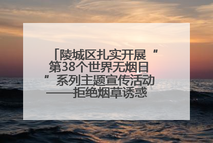 陵城区扎实开展“第38个世界无烟日”系列主题宣传活动——拒绝烟草诱惑 对第一支烟说不