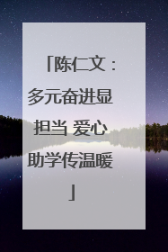 陈仁文：多元奋进显担当 爱心助学传温暖
