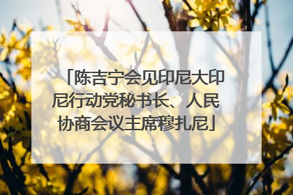 陈吉宁会见印尼大印尼行动党秘书长、人民协商会议主席穆扎尼