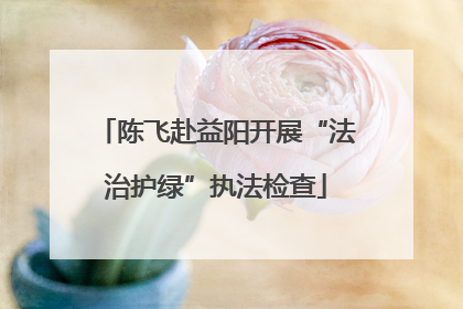 陈飞赴益阳开展“法治护绿”执法检查
