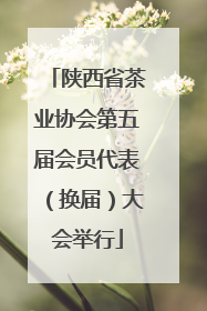 陕西省茶业协会第五届会员代表（换届）大会举行