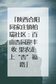 陕西合阳同家庄镇柏瑞社区：百亩杏园迎丰收 果农走上“杏”福路