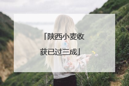 陕西小麦收获已过三成