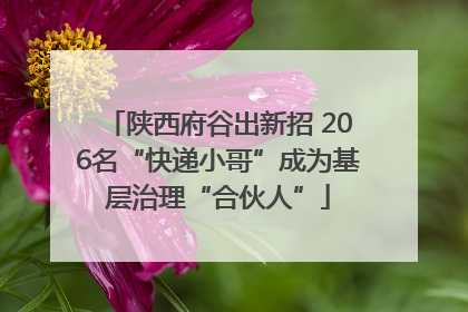 陕西府谷出新招 206名“快递小哥”成为基层治理“合伙人”