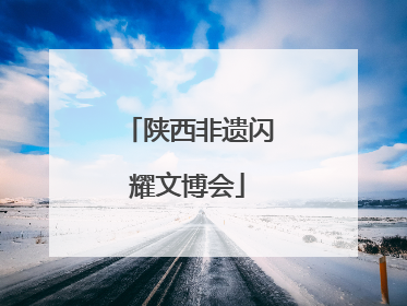 陕西非遗闪耀文博会