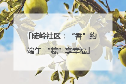 陡岭社区：“香”约端午 “粽”享幸福