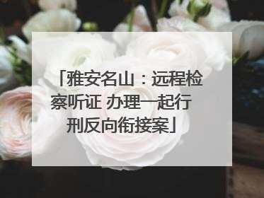 雅安名山：远程检察听证 办理一起行刑反向衔接案
