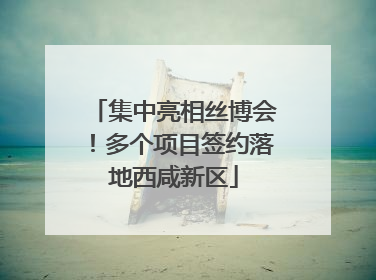 集中亮相丝博会！多个项目签约落地西咸新区