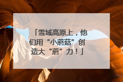 雪域高原上，他们用“小蘑菇”创造大“蘑”力！