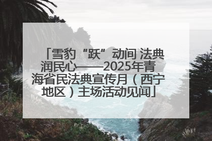 雪豹“跃”动间 法典润民心——2025年青海省民法典宣传月（西宁地区）主场活动见闻